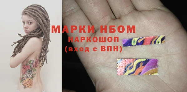 гашик Снежногорск